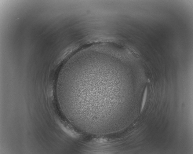 X0000080200687200612152040