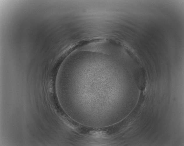 X0000080200689200612152040