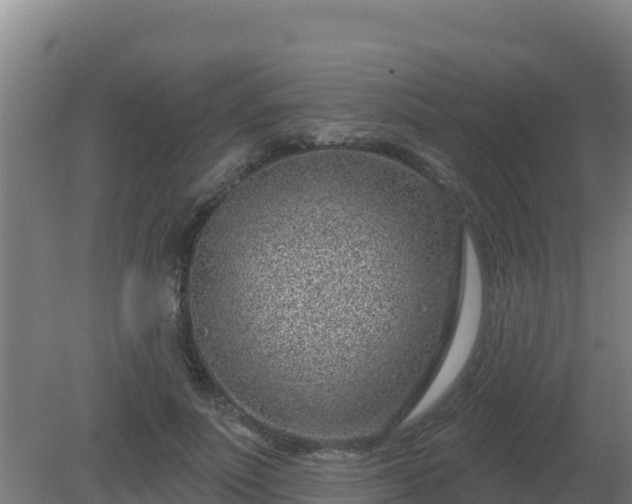 X0000080200691200612152040