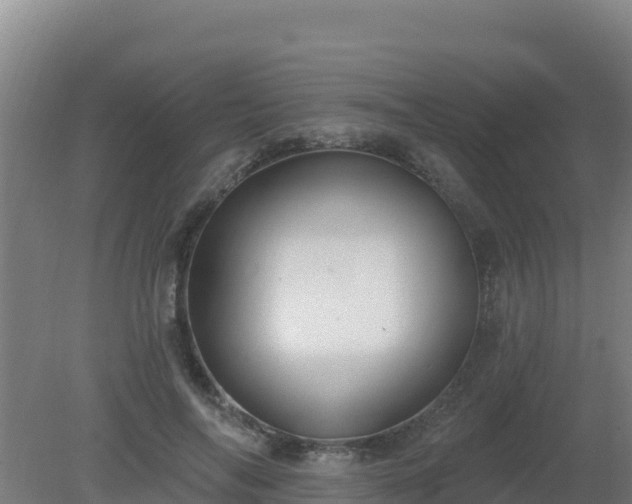 X0000080200694200612152040