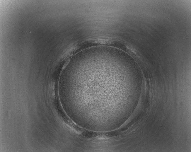 X0000080200696200612152040