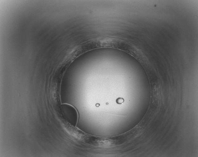 X0000080200698200612152040