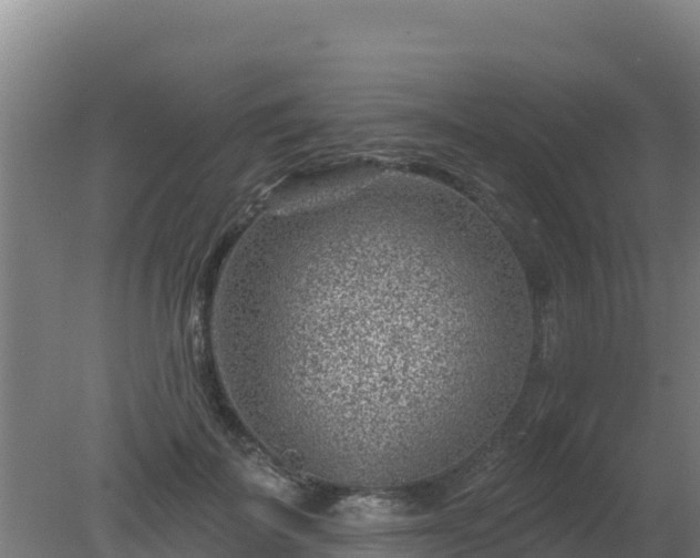 X0000080200699200612152040