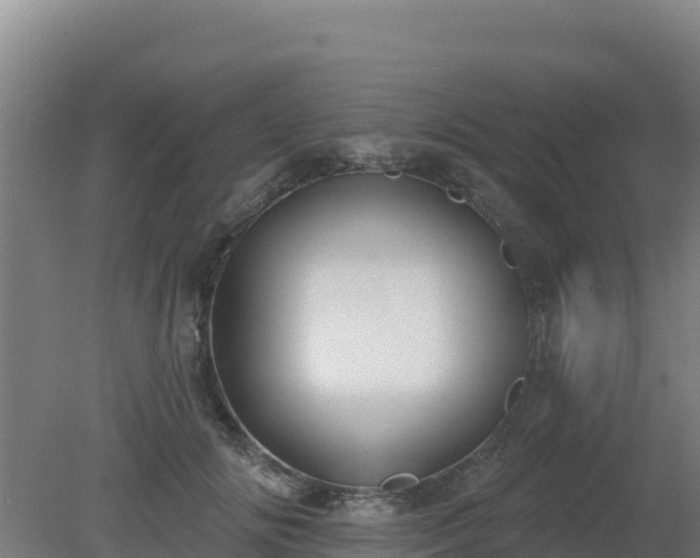 X0000080200702200612152040