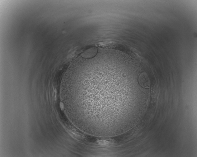 X0000080200703200612152040