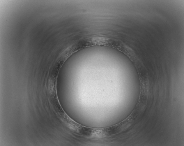 X0000080200705200612152040