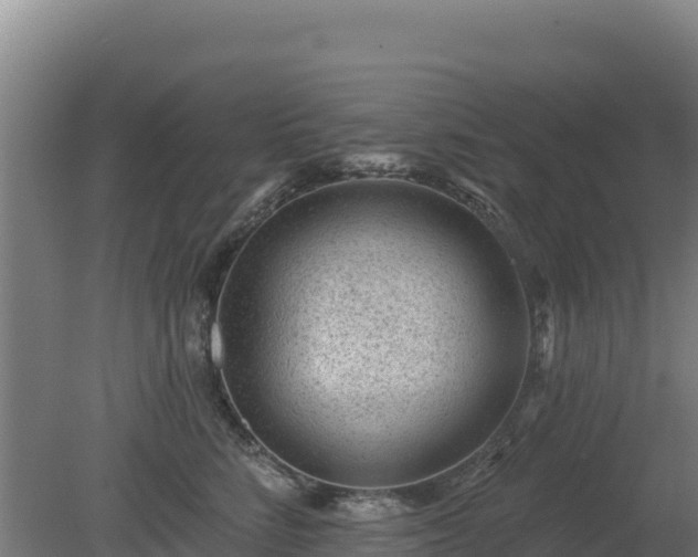 X0000080200712200612152040