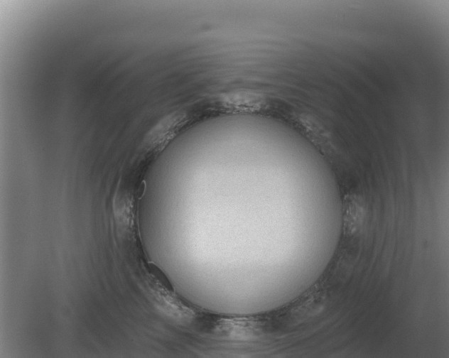 X0000080200713200612152040