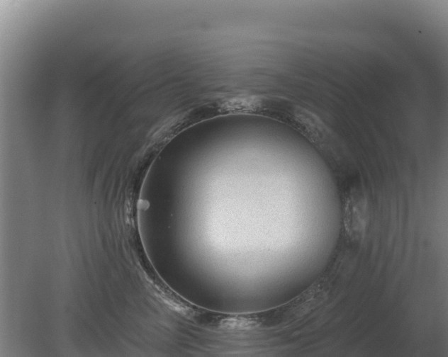 X0000080200714200612152040