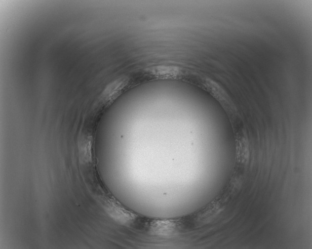 X0000080200717200612152040