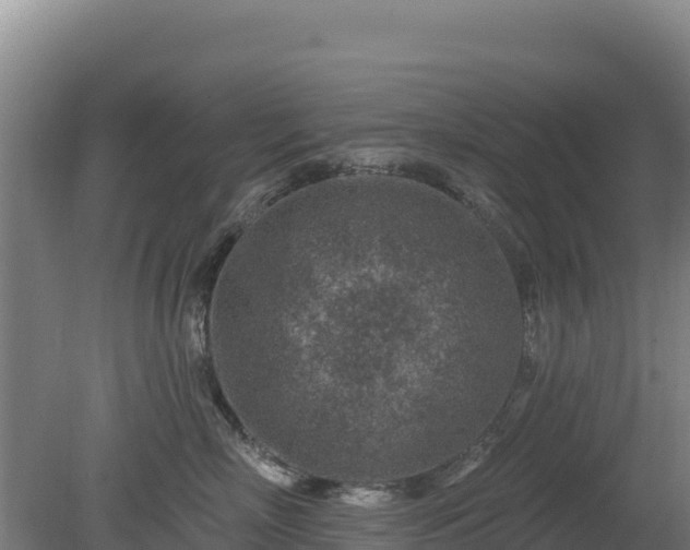 X0000080200718200612152040