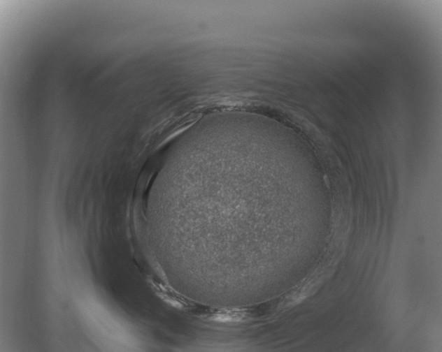 X0000080200720200612152040