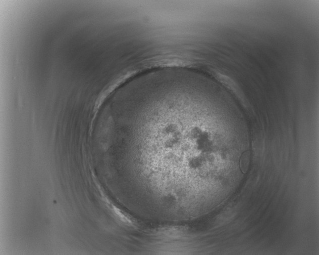 X0000080200721200612152039