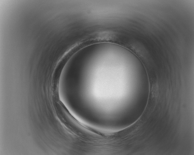 X0000080200722200612152039