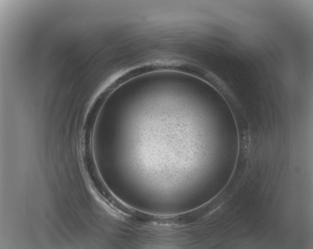 X0000080200726200612152039