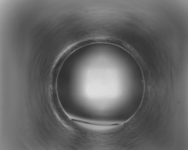 X0000080200728200612152039