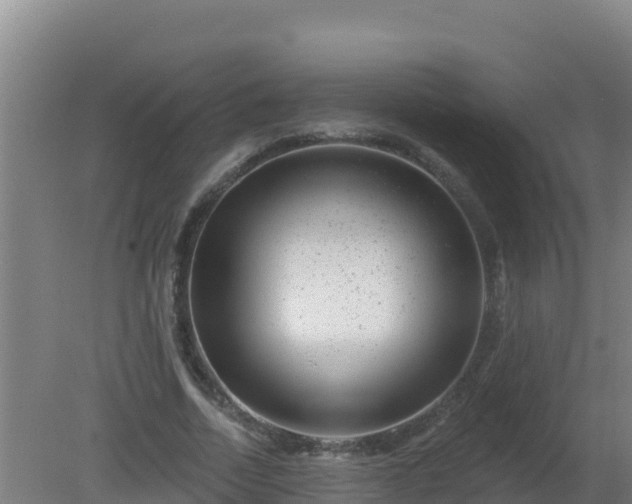 X0000080200730200612152039