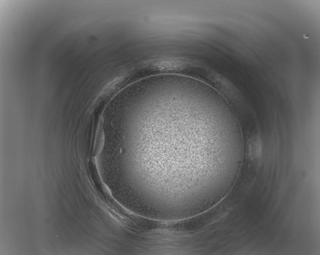 X0000080200733200612152039