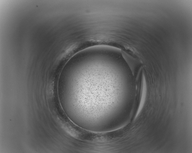 X0000080200735200612152039