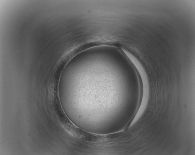 X0000080200736200612152039