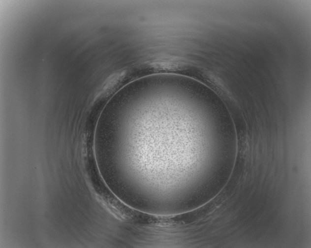 X0000080200738200612152039