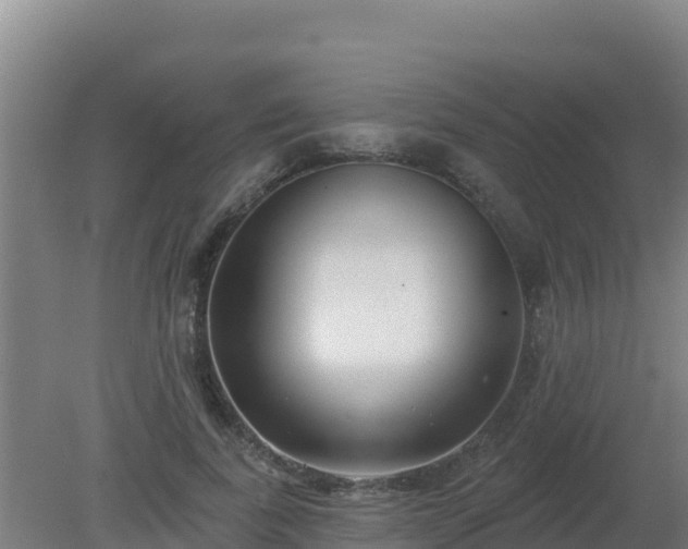 X0000080200739200612152039