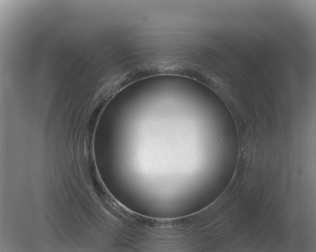 X0000080200740200612152039