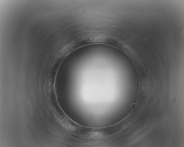 X0000080200741200612152039