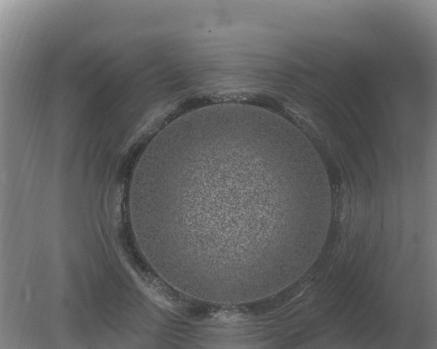 X0000080200742200612152039