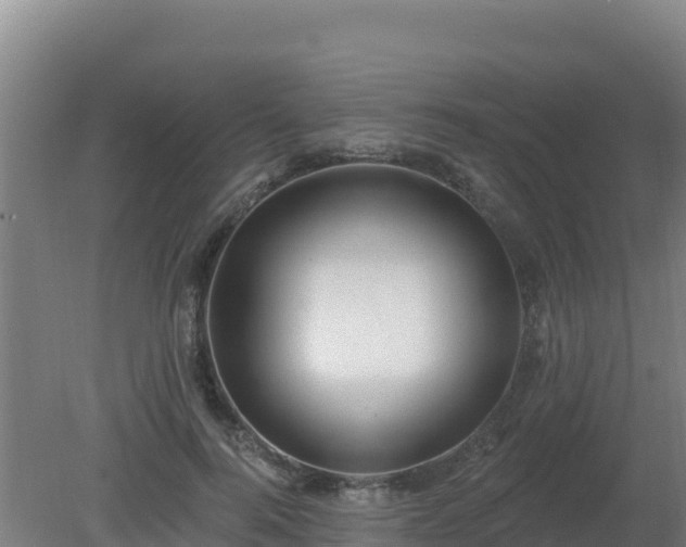 X0000080200744200612152039