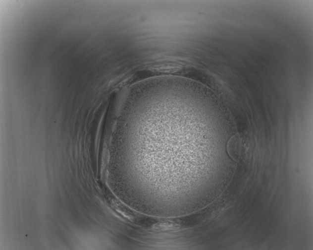 X0000080200745200612152039