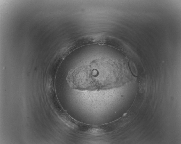 X0000080200748200612152040