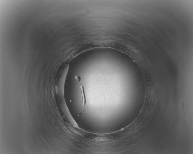 X0000080200749200612152040