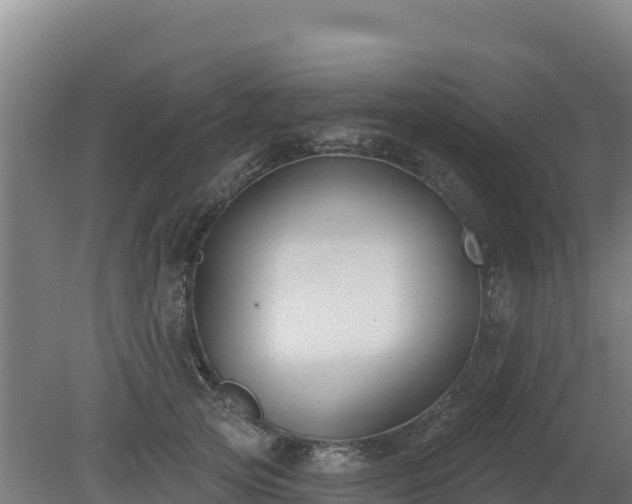 X0000080200753200612152040