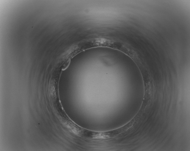 X0000080200754200612152040