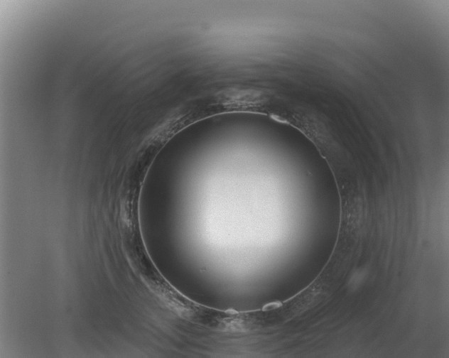 X0000080200755200612152040