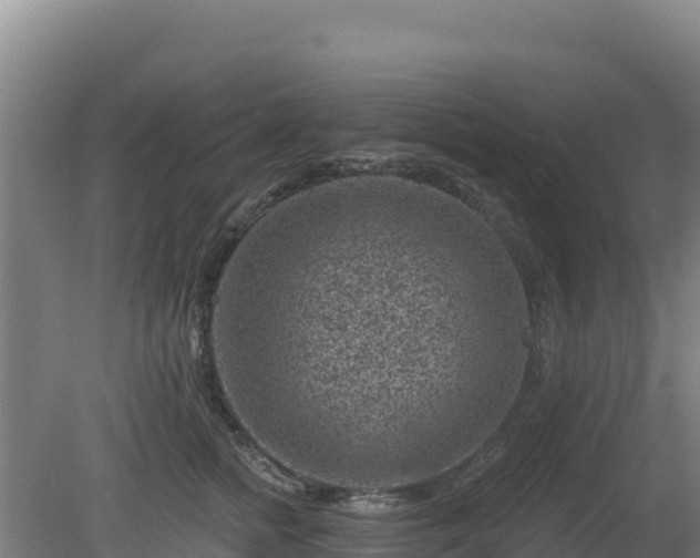 X0000080200758200612152040