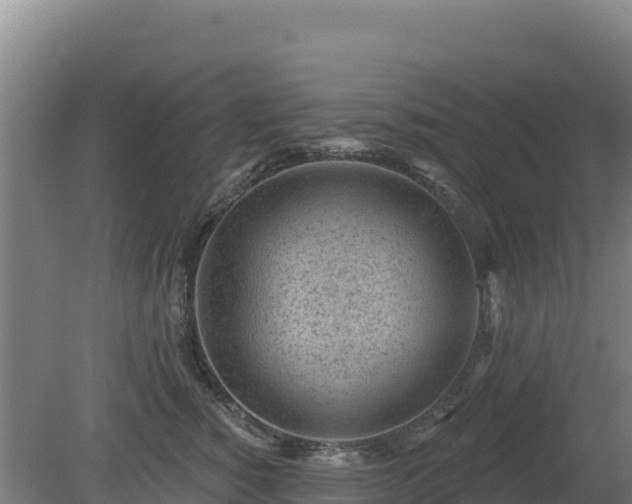 X0000080200760200612152040