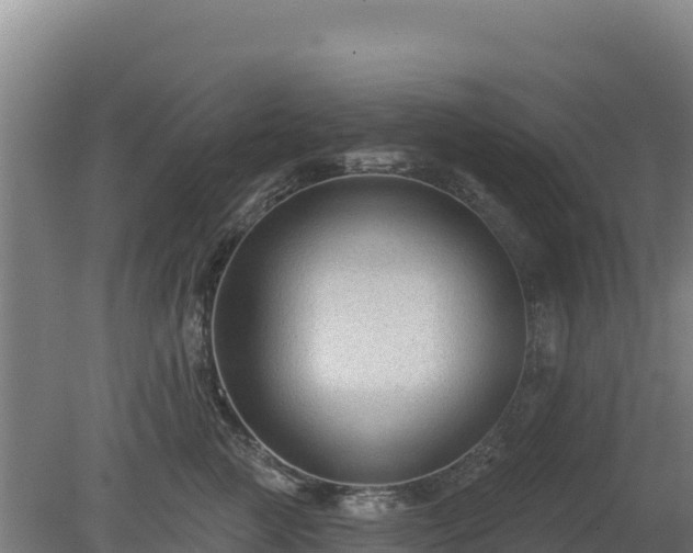 X0000080200761200612152040