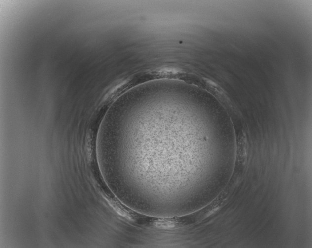 X0000080200762200612152040