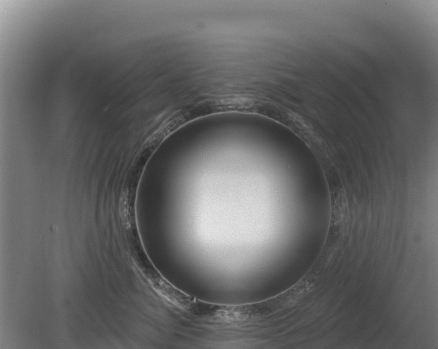 X0000080200764200612152040