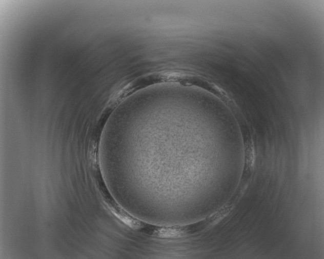 X0000080200766200612152040