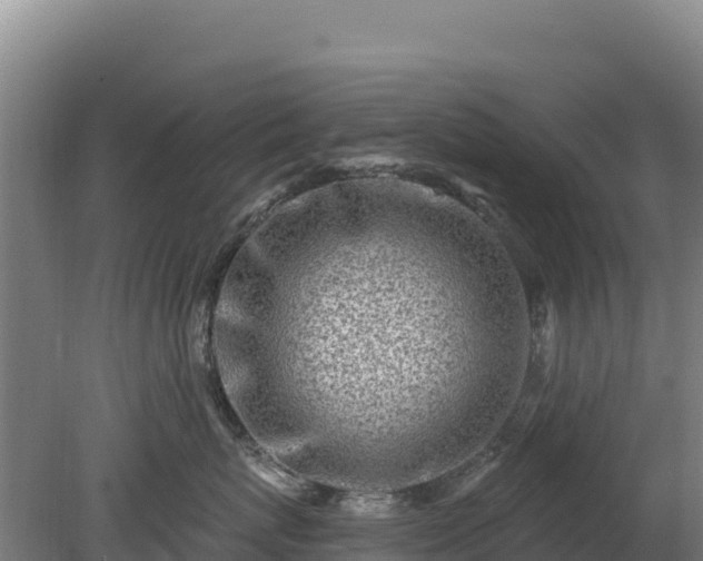 X0000080200767200612152040