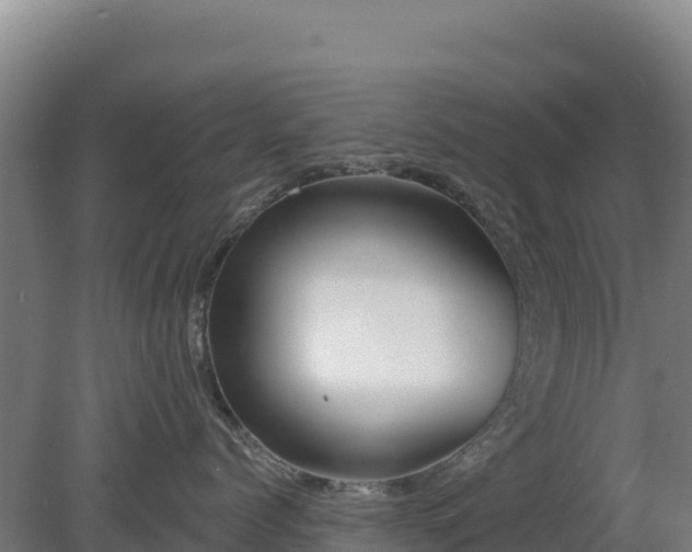 X0000080200768200612152040