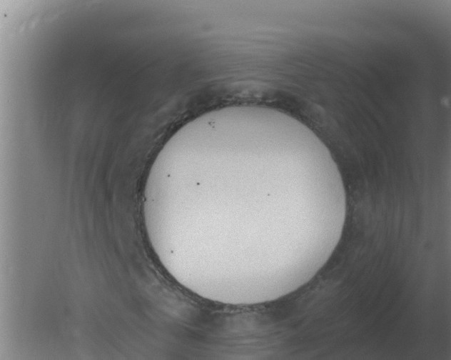 X0000080200769200612152039