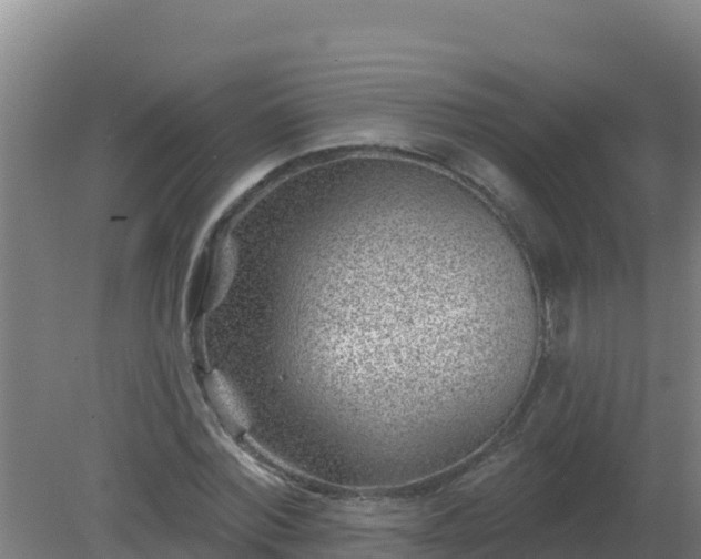 X0000080200780200612152039