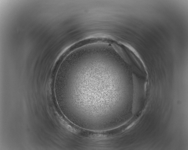 X0000080200783200612152039