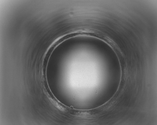 X0000080200784200612152039