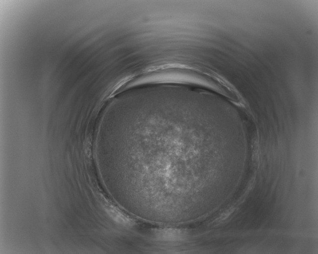 X0000080200785200612152039