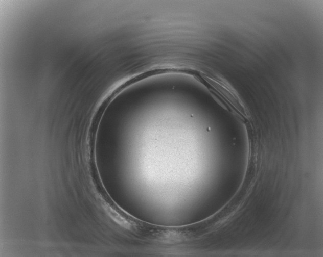 X0000080200787200612152039